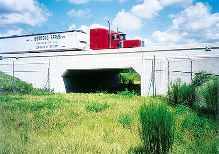 Wildlife underpass