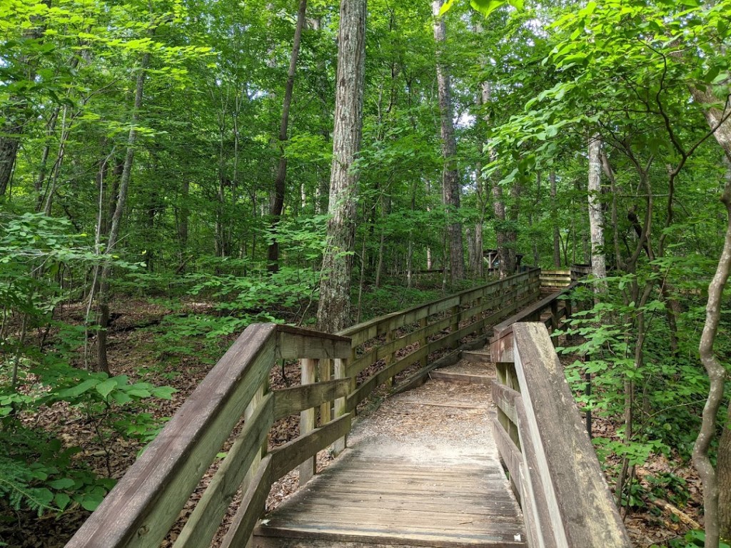 Hemlock Bluffs trail