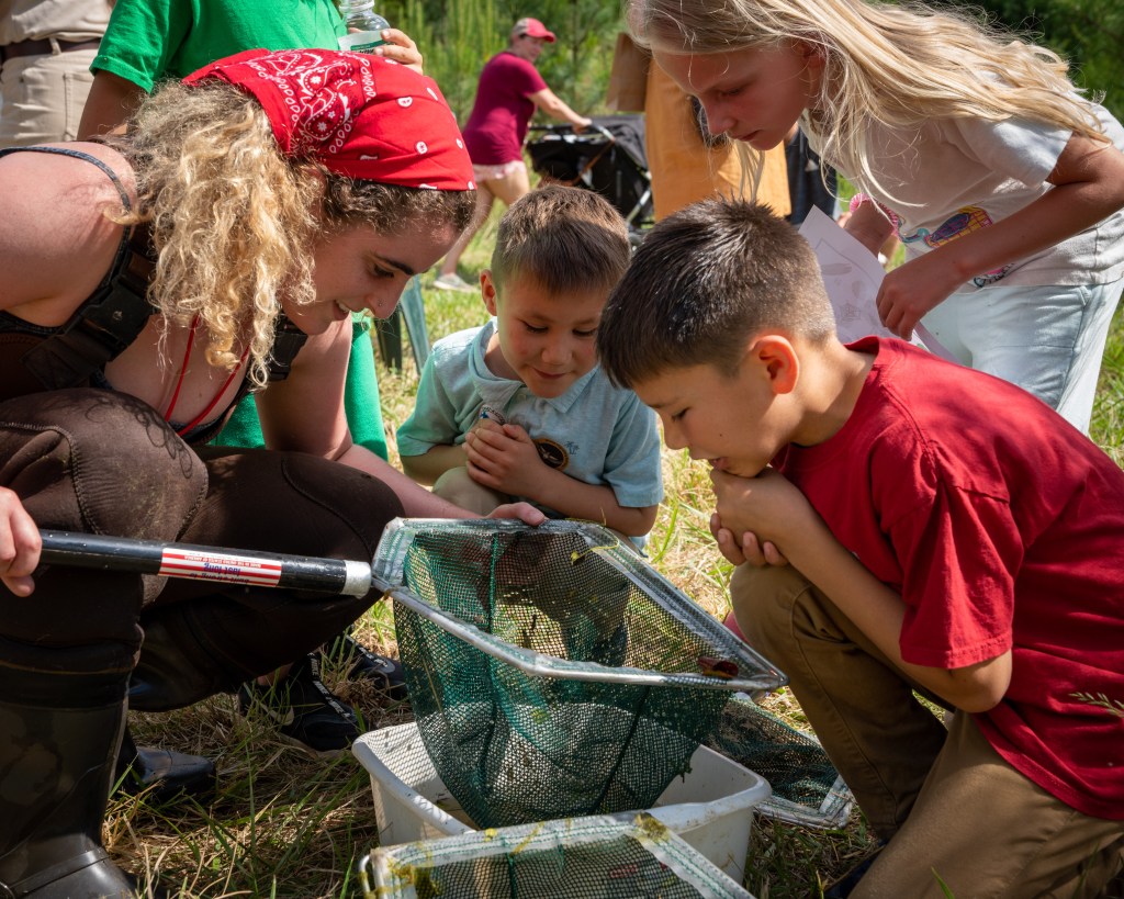 Kids examining contents of a net from the pond