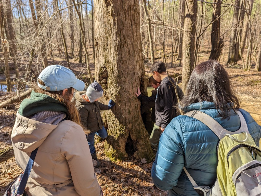 Kids looking at tree
