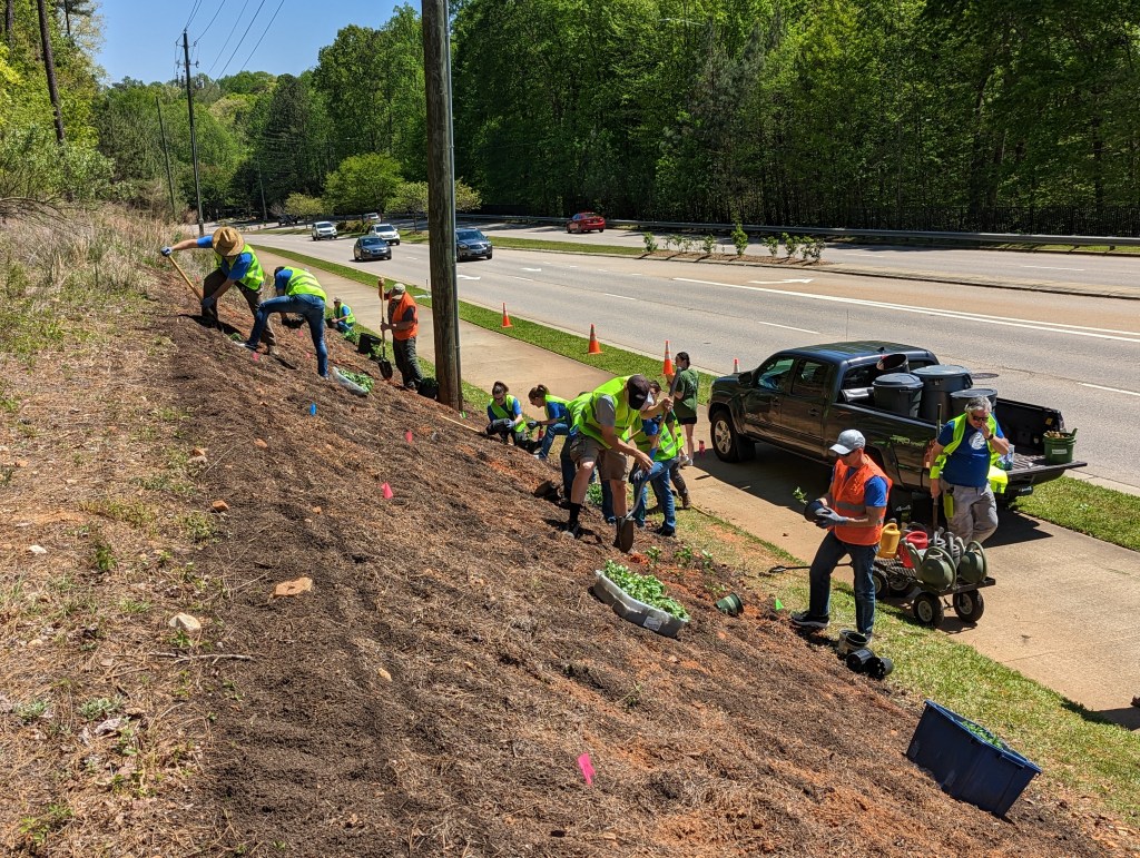 People planting on a hillside