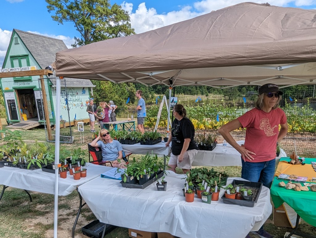 Native plants on tables at Simple Gifts Community Garden