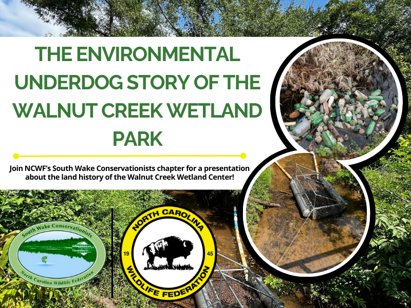 Promo image for presentation