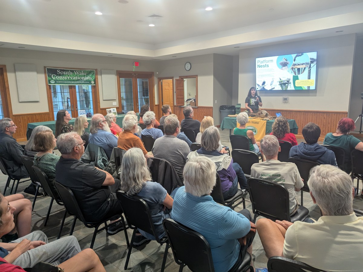 Nature’s Engineers are&nbsp;Popular!