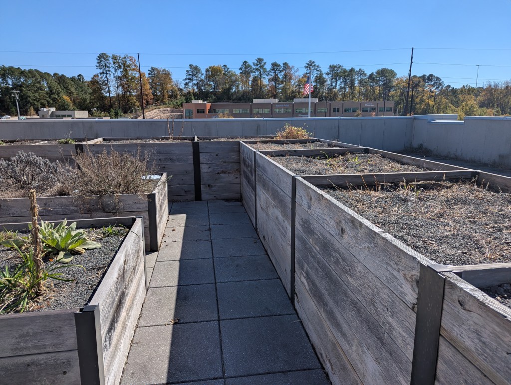 Rooftop garden beds