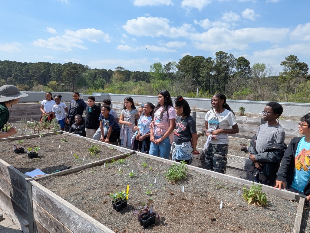 Students standing by the raised bed boxes
